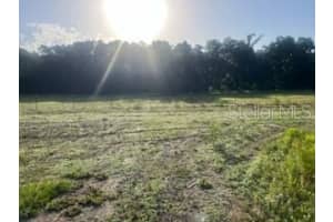 2469 145TH STREET, CITRA, FL 32113 - MLS#MFRO6310145