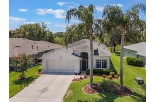 5560 SQUIRES DRIVE, LEESBURG, FL 34748 - MLS#MFRO6310188