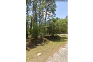 9309 FAIRY LILLY DRIVE, CITRUS SPRINGS, FL 34433 Sold 01/16/26