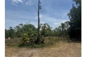 2225 6TH STREET, ORLANDO, FL 32820 - MLS#MFRO6310510