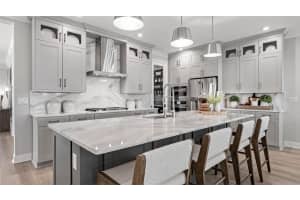 1613 BELLAGIO LOOP, TAVARES, FL 32778 - MLS#MFRO6310537