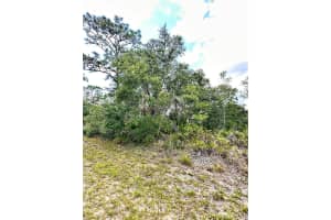 514 INDIAN LAKE DRIVE, INDIAN LAKE ESTATES, FL 33855 - MLS#MFRO6310590
