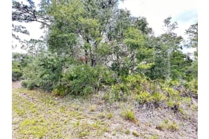 514 INDIAN LAKE DRIVE, INDIAN LAKE ESTATES, FL 33855 - MLS#MFRO6310590