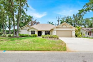 2900 Hammock Dr, PLANT CITY