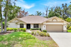 2900 HAMMOCK DRIVE, PLANT CITY, FL 33566 - MLS#MFRO6310792