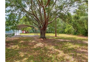 15431 28TH STREET, MORRISTON, FL 32668 Sold 11/14/25