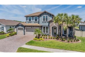 29043 PICANA LANE, WESLEY CHAPEL, FL 33543 - MLS#MFRO6311131