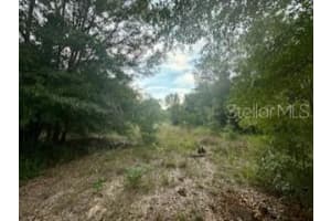 NW 56TH COURT, OCALA, FL 34482 - MLS#MFRO6311157