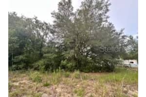 NW 56TH COURT, OCALA, FL 34482 - MLS#MFRO6311157
