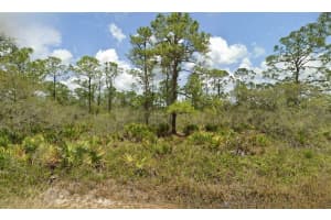 2114 LANTANA AVENUE, SEBRING, FL 33875 Sold 06/13/25