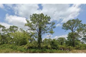 1824 WASHINGTON BOULEVARD, LAKE PLACID, FL 33852 Sold 06/20/25