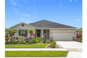 15865 Bradicks Ct, CLERMONT