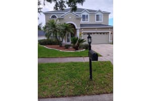 10415 Lucaya Dr, TAMPA