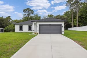 10218 LANGDON ROAD, CITRUS SPRINGS, FL 34434 - MLS#MFRO6311813