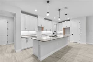 30369 APRICOT AVENUE, EUSTIS, FL 32736 - MLS#MFRO6311826
