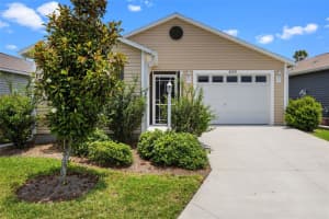 6231 ATKINSON LANE, THE VILLAGES, FL 32163 - MLS#MFRO6311848