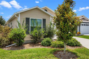6231 ATKINSON LANE, THE VILLAGES, FL 32163 - MLS#MFRO6311848