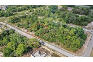 1309 HOMOSASSA COURT, KISSIMMEE, FL 34759 Sold 07/15/25