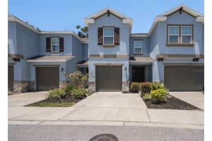 6703 Citrus Creek Ln, TAMPA