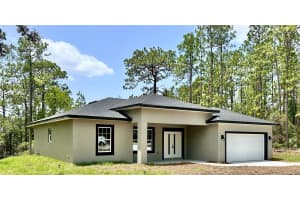 9335 FAIRY LILLY DRIVE, CITRUS SPRINGS, FL 34433 - MLS#MFRO6312102