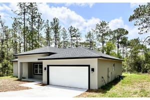 9335 FAIRY LILLY DRIVE, CITRUS SPRINGS, FL 34433 - MLS#MFRO6312102