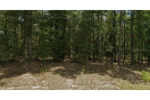 MLS# MFRO6312116, Dunnellon, Florida 34434