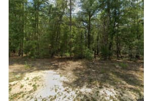 MLS# MFRO6312118, Dunnellon, Florida 34434