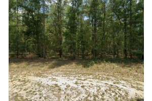 MLS# MFRO6312120, Dunnellon, Florida 34434