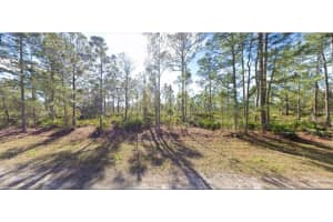713 ALBA DRIVE, INDIAN LAKE ESTATES, FL 33855 - MLS#MFRO6312421