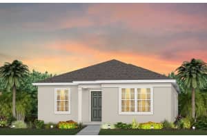 3367 Vine Leaf St, APOPKA