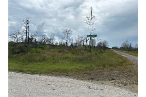 3520 MARIANA AVENUE, LAKE PLACID, FL 33852 - MLS#MFRO6312709