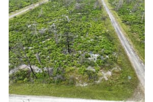 3520 MARIANA AVENUE, LAKE PLACID, FL 33852 - MLS#MFRO6312709