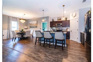 16379 BLOOMING CHERRY DRIVE, GROVELAND, FL 34736 - MLS#MFRO6312738