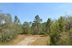 3206 CURLEW ROAD, LAKE PLACID, FL 33852 Sold 06/23/25