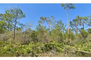 3206 CURLEW ROAD, LAKE PLACID, FL 33852 Sold 06/23/25