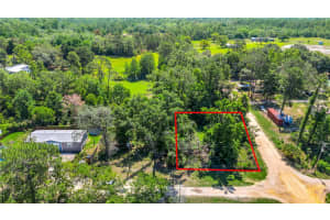 40850 PINE TREE LANE, EUSTIS, FL 32736 - MLS#MFRO6312949