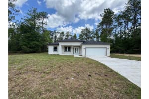 2523 ANDROMEDAE DRIVE, CITRUS SPRINGS, FL 34433 - MLS#MFRO6312955