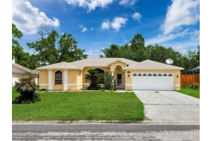 7337 Cone Shell Dr, SPRING HILL