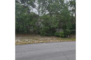 LOT 13 SW 145TH PLACE RD, DUNNELLON, FL 34432 - MLS#MFRO6313054