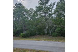 LOT 13 SW 145TH PLACE RD, DUNNELLON, FL 34432 - MLS#MFRO6313054