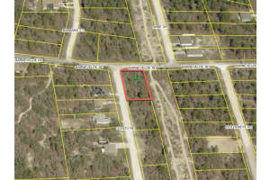 12470 BARNEVELDE ROAD, BROOKSVILLE, FL 34614 - MLS#MFRO6313149
