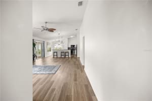 2528 BUTTONWOOD RUN, THE VILLAGES, FL 32162 Sold 07/14/25