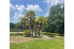 1231 43RD ST, ORLANDO, FL 32839 - MLS#MFRO6313226