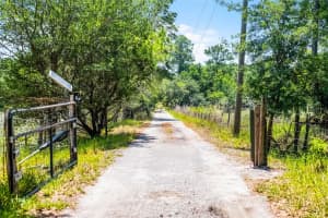 4055 STATE ROAD 11, DELAND, FL 32724 - MLS#MFRO6313228