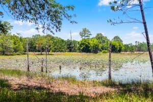 4055 STATE ROAD 11, DELAND, FL 32724 - MLS#MFRO6313228