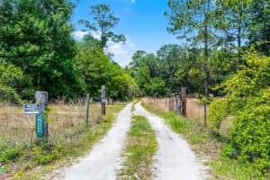 4055 STATE ROAD 11, DELAND, FL 32724 - MLS#MFRO6313228