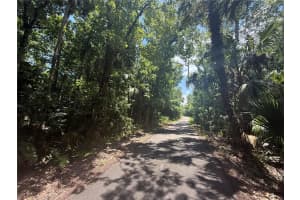 INDEPENDENCE AVE, OVIEDO, FL 32765 - MLS#MFRO6313305