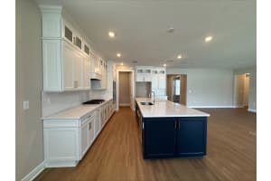15569 ORCHID ROSE COURT, WINTER GARDEN, FL 34787 - MLS#MFRO6313467