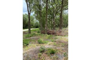 To be determined 111TH LN LANE, DUNNELLON, FL 34432 Sold 06/30/25
