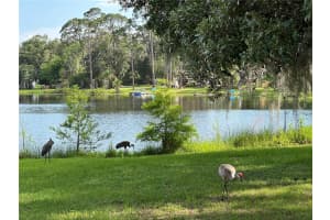 1405 PERIWINKLE AVENUE, DELAND, FL 32724 - MLS#MFRO6313813